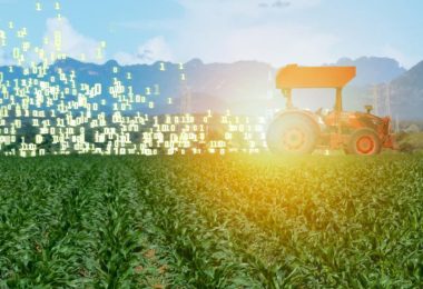 Big data no agronegócio: o poder da análise de dados e inteligência artificial no agro
