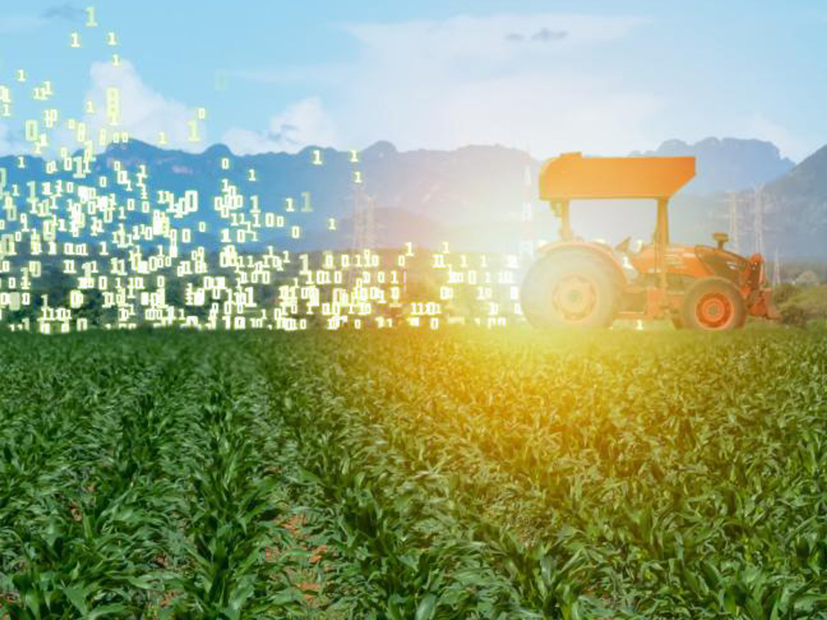 Big data no agronegócio: o poder da análise de dados e inteligência artificial no agro